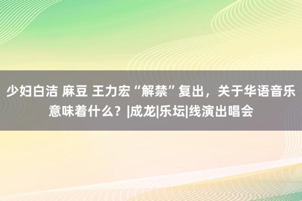 少妇白洁 麻豆 王力宏“解禁”复出，关于华语音乐意味着什么？|成龙|乐坛|线演出唱会