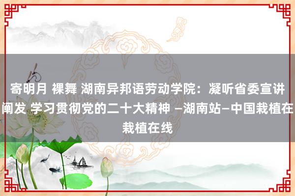 寄明月 裸舞 湖南异邦语劳动学院：凝听省委宣讲团阐发 学习贯彻党的二十大精神 —湖南站—中国栽植在线