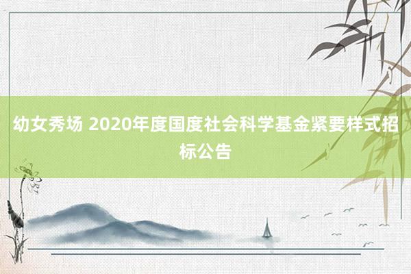 幼女秀场 2020年度国度社会科学基金紧要样式招标公告