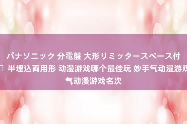 パナソニック 分電盤 大形リミッタースペース付 露出・半埋込